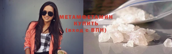 прущие грибы Зеленодольск