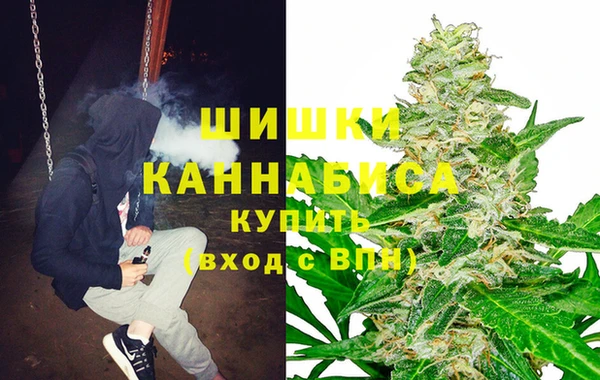 прущие грибы Зеленодольск