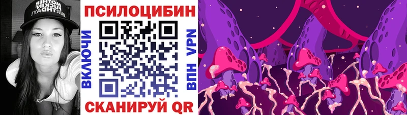 Купить закладки  Называевск  Галлюциногенные грибы Magic Shrooms 